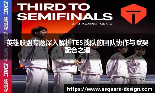 VSport胜利因您更精彩